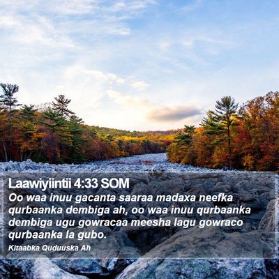 Laawiyiintii 4:33 SOM Bible Verse Image