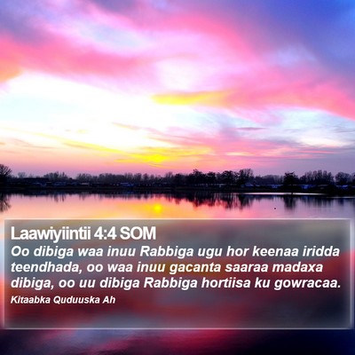 Laawiyiintii 4:4 SOM Bible Verse Image