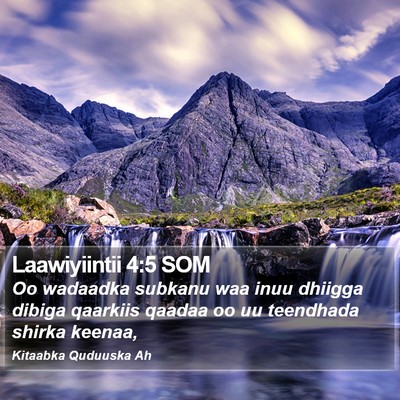 Laawiyiintii 4:5 SOM Bible Verse Image