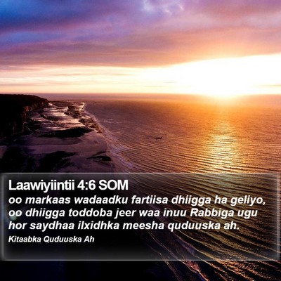 Laawiyiintii 4:6 SOM Bible Verse Image