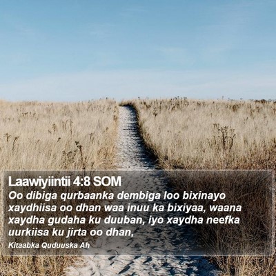 Laawiyiintii 4:8 SOM Bible Verse Image