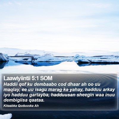 Laawiyiintii 5:1 SOM Bible Verse Image