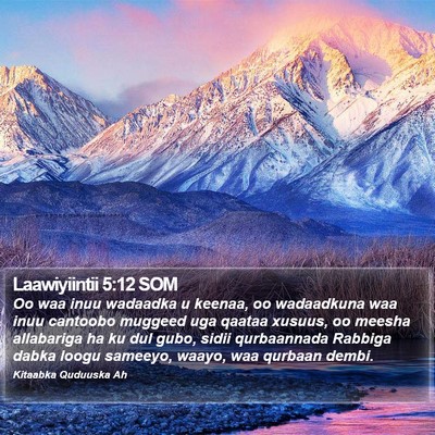 Laawiyiintii 5:12 SOM Bible Verse Image