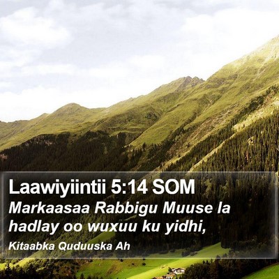 Laawiyiintii 5:14 SOM Bible Verse Image