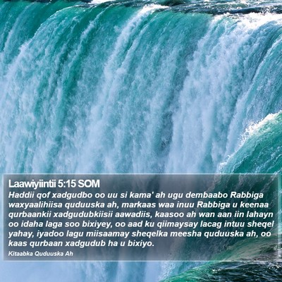 Laawiyiintii 5:15 SOM Bible Verse Image