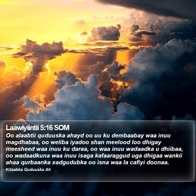 Laawiyiintii 5:16 SOM Bible Verse Image