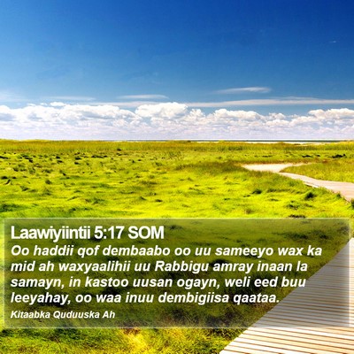 Laawiyiintii 5:17 SOM Bible Verse Image