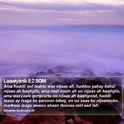 Laawiyiintii 5:2 SOM Bible Verse Image