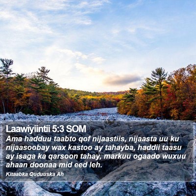 Laawiyiintii 5:3 SOM Bible Verse Image