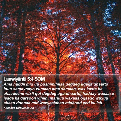 Laawiyiintii 5:4 SOM Bible Verse Image