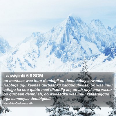 Laawiyiintii 5:6 SOM Bible Verse Image