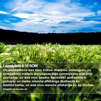 Laawiyiintii 6:10 SOM Bible Verse Image