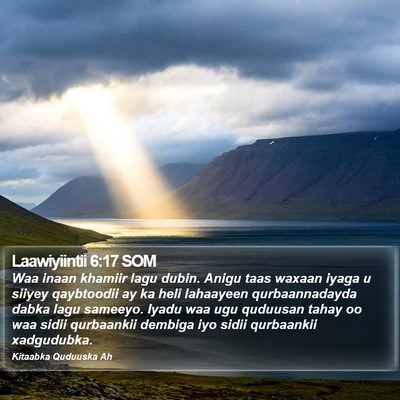 Laawiyiintii 6:17 SOM Bible Verse Image