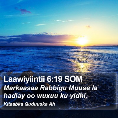 Laawiyiintii 6:19 SOM Bible Verse Image