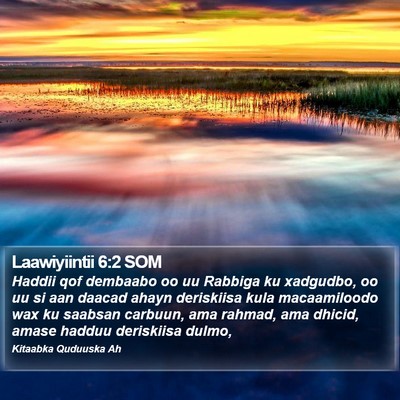 Laawiyiintii 6:2 SOM Bible Verse Image