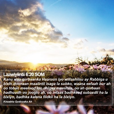 Laawiyiintii 6:20 SOM Bible Verse Image