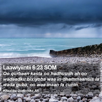 Laawiyiintii 6:23 SOM Bible Verse Image