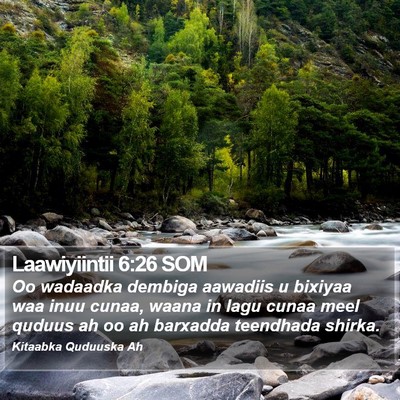 Laawiyiintii 6:26 SOM Bible Verse Image