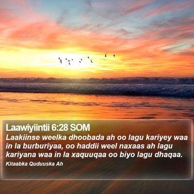 Laawiyiintii 6:28 SOM Bible Verse Image