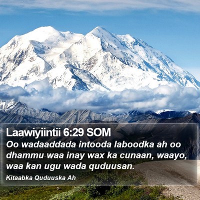 Laawiyiintii 6:29 SOM Bible Verse Image