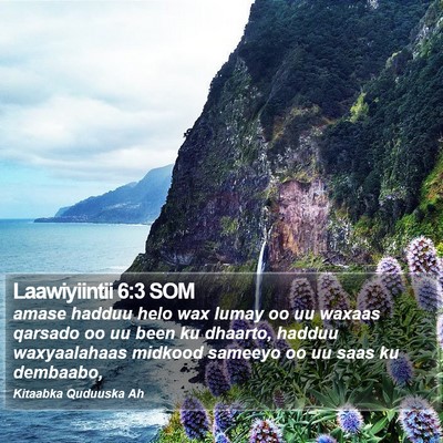 Laawiyiintii 6:3 SOM Bible Verse Image