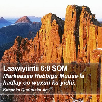 Laawiyiintii 6:8 SOM Bible Verse Image