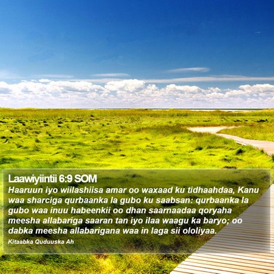 Laawiyiintii 6:9 SOM Bible Verse Image