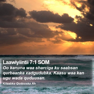 Laawiyiintii 7:1 SOM Bible Verse Image