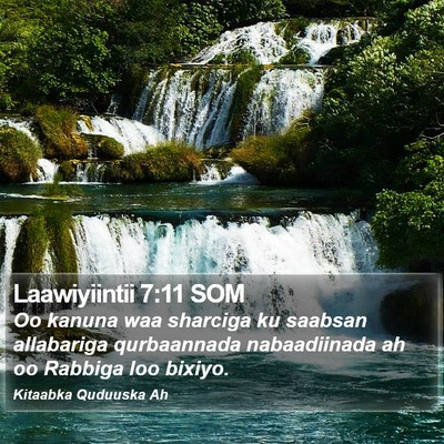 Laawiyiintii 7:11 SOM Bible Verse Image