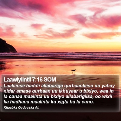 Laawiyiintii 7:16 SOM Bible Verse Image