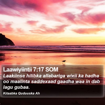 Laawiyiintii 7:17 SOM Bible Verse Image