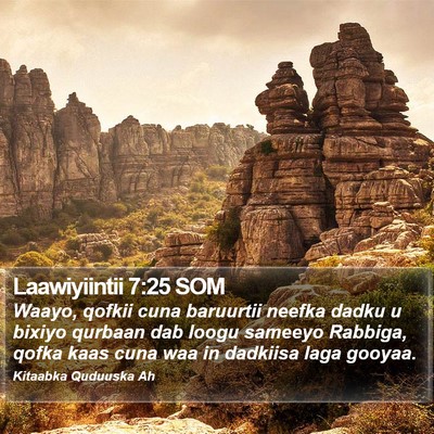 Laawiyiintii 7:25 SOM Bible Verse Image