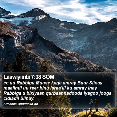 Laawiyiintii 7:38 SOM Bible Verse Image