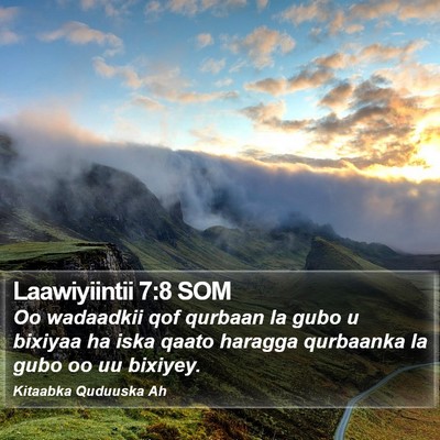 Laawiyiintii 7:8 SOM Bible Verse Image
