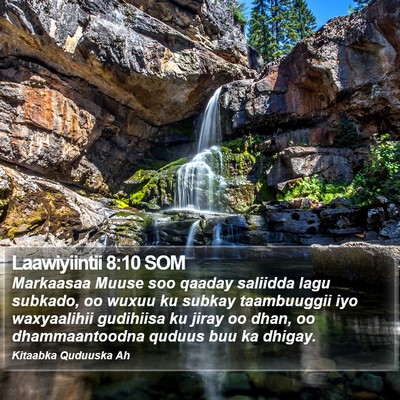 Laawiyiintii 8:10 SOM Bible Verse Image