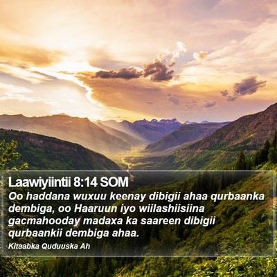 Laawiyiintii 8:14 SOM Bible Verse Image