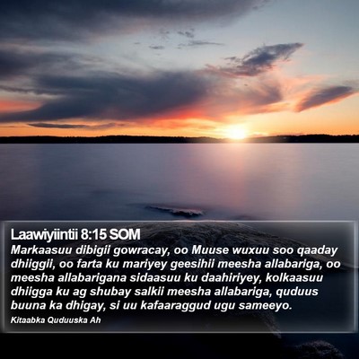 Laawiyiintii 8:15 SOM Bible Verse Image