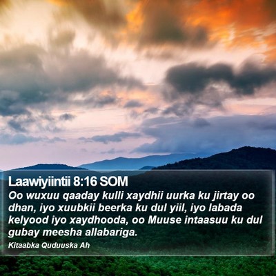 Laawiyiintii 8:16 SOM Bible Verse Image