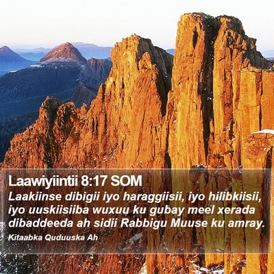 Laawiyiintii 8:17 SOM Bible Verse Image