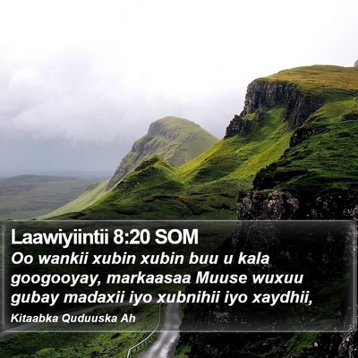 Laawiyiintii 8:20 SOM Bible Verse Image