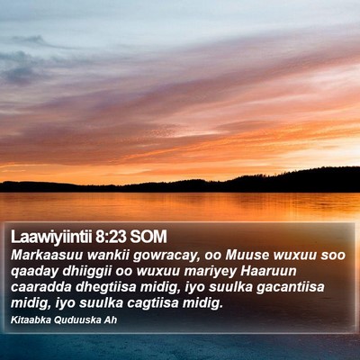 Laawiyiintii 8:23 SOM Bible Verse Image