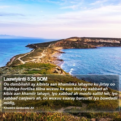 Laawiyiintii 8:26 SOM Bible Verse Image