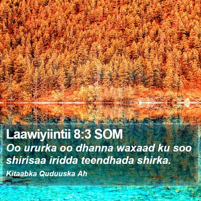 Laawiyiintii 8:3 SOM Bible Verse Image