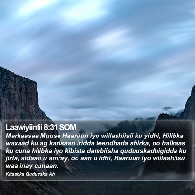 Laawiyiintii 8:31 SOM Bible Verse Image