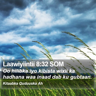 Laawiyiintii 8:32 SOM Bible Verse Image