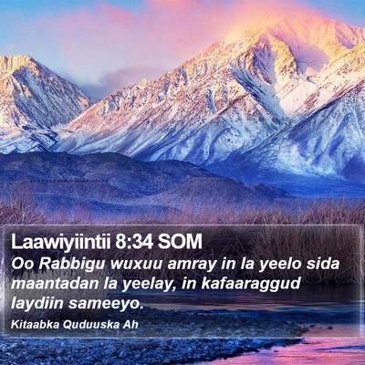 Laawiyiintii 8:34 SOM Bible Verse Image
