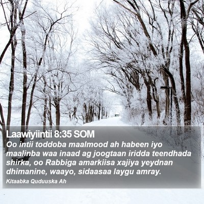 Laawiyiintii 8:35 SOM Bible Verse Image