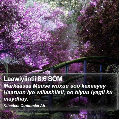 Laawiyiintii 8:6 SOM Bible Verse Image