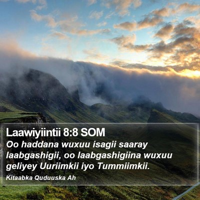 Laawiyiintii 8:8 SOM Bible Verse Image