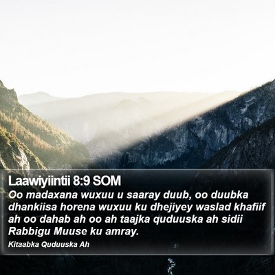 Laawiyiintii 8:9 SOM Bible Verse Image